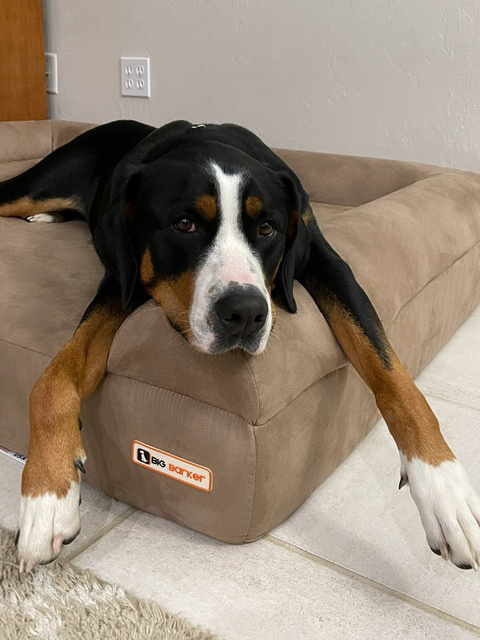 Big Barker - Big Barker 7" Orthopedic Dog Bed - Sofa Edition - Charcoal Gray / Extra Large
