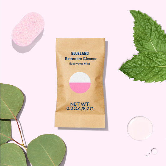 Blueland Bathroom Refill Packs, Eucalyptus Mint