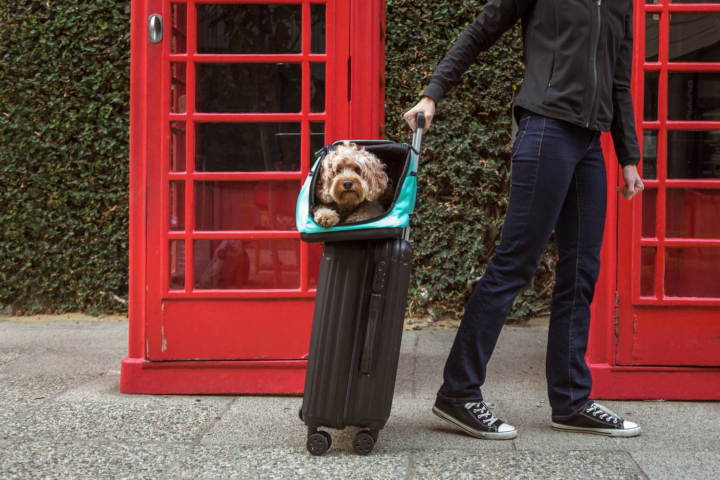 Sleepypod - Sleepypod Air Pet Carrier - Jet Black
