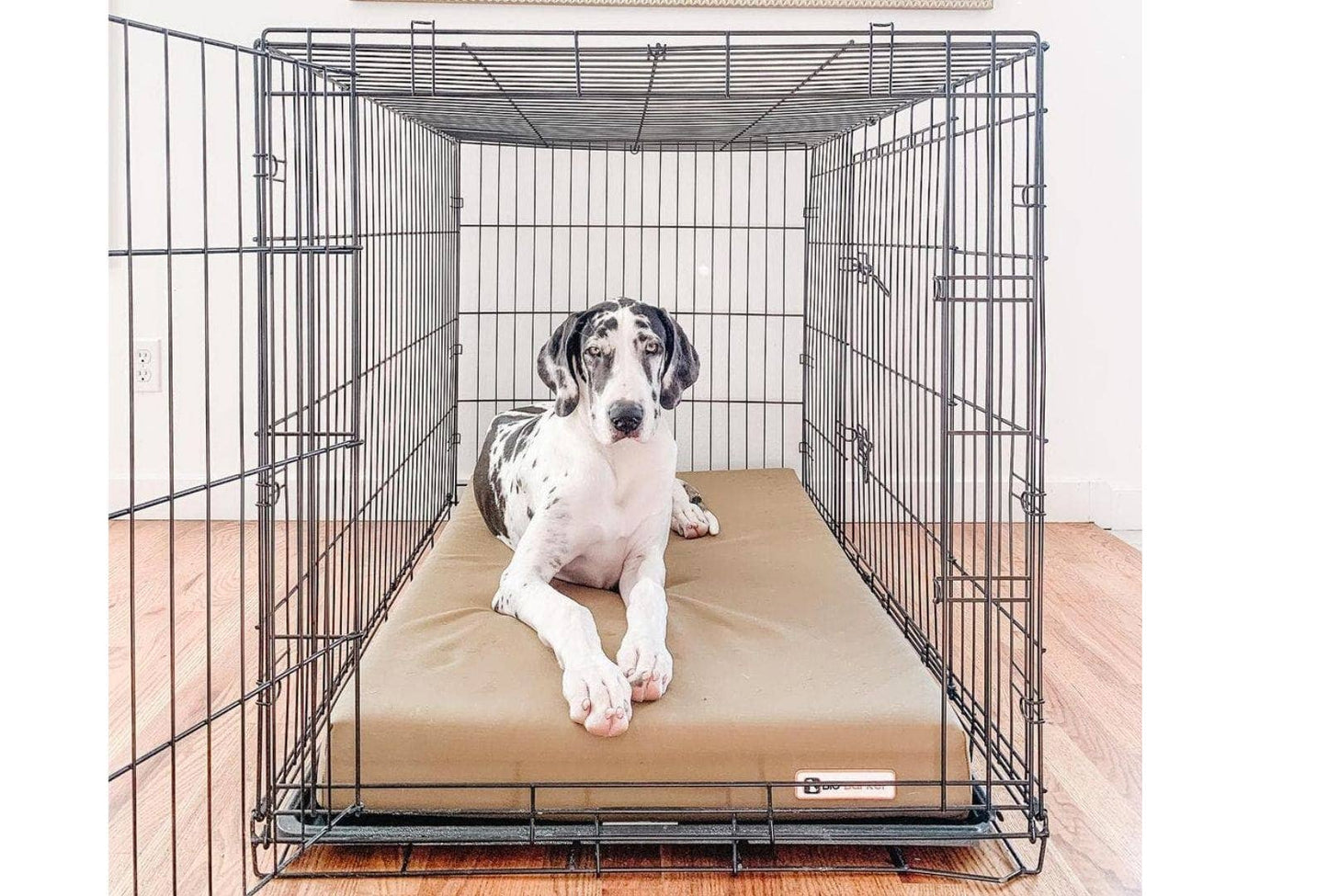 Big Barker - Big Barker 4" Orthopedic Crate Bed - Large / Cordura