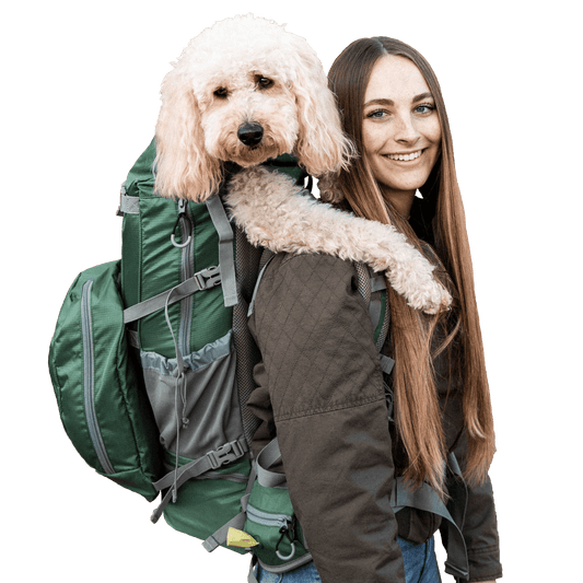 K9 Sport Sack - KOLOSSUS | Big Dog Carrier & Backpacking Pack - Large (20"-23" from collar to tail) / Black