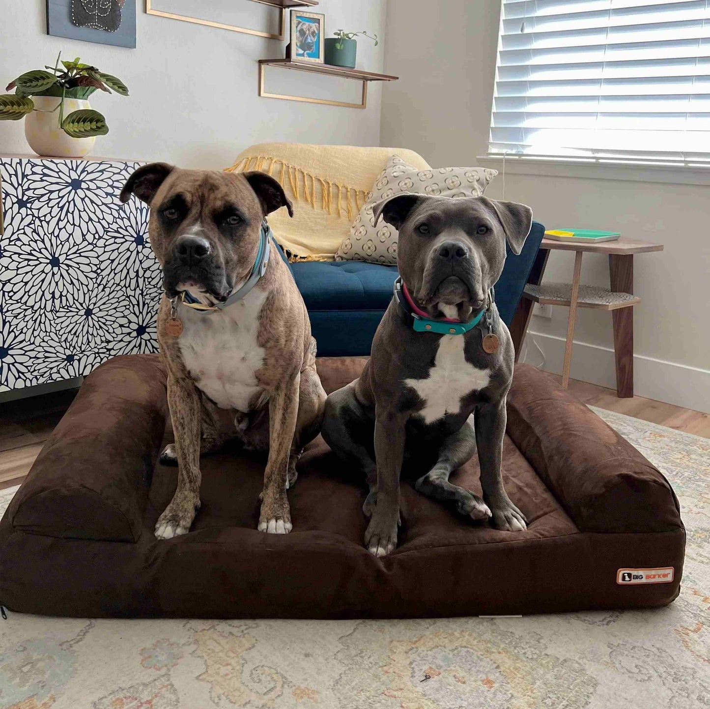 Big Barker - Big Barker 7" Orthopedic Dog Bed - Sofa Edition - Charcoal Gray / Extra Large