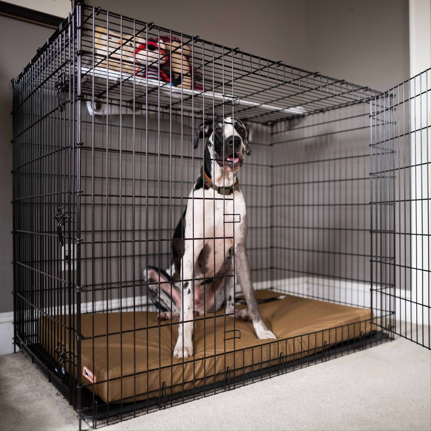 Big Barker - Big Barker 4" Orthopedic Crate Bed - Large / Cordura