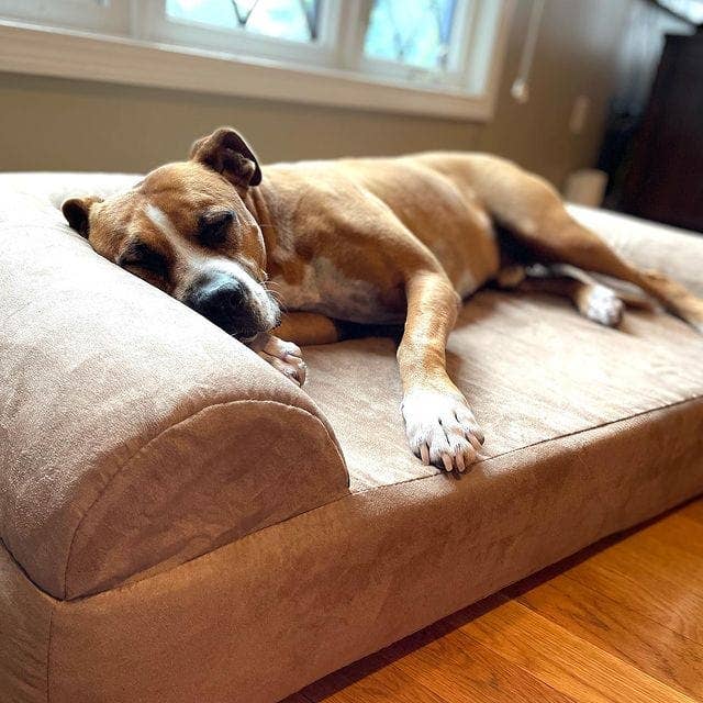 Big Barker - Big Barker 7" Orthopedic Dog Bed - Sofa Edition - Charcoal Gray / Extra Large