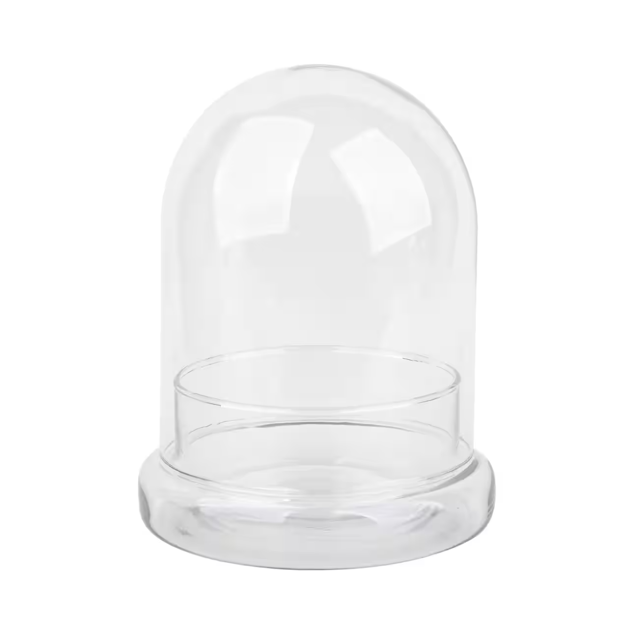7 inch Glass Cloche with Glass Base
