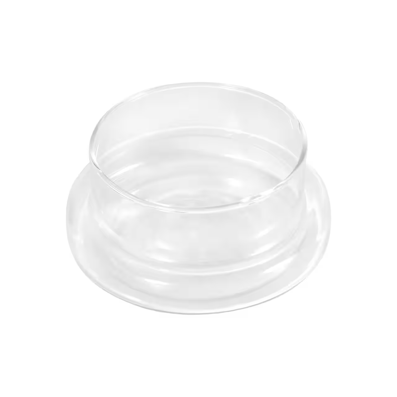 9 inch Glass Cloche with Glass Base