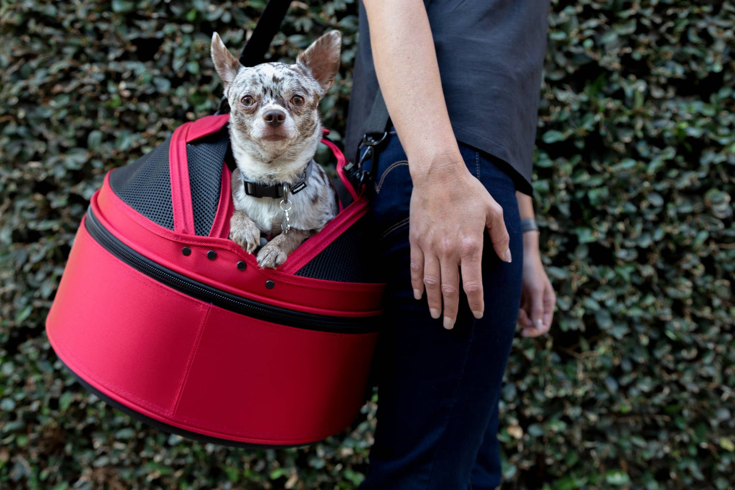 Sleepypod - Sleepypod Mobile Pet Bed - Strawberry Red