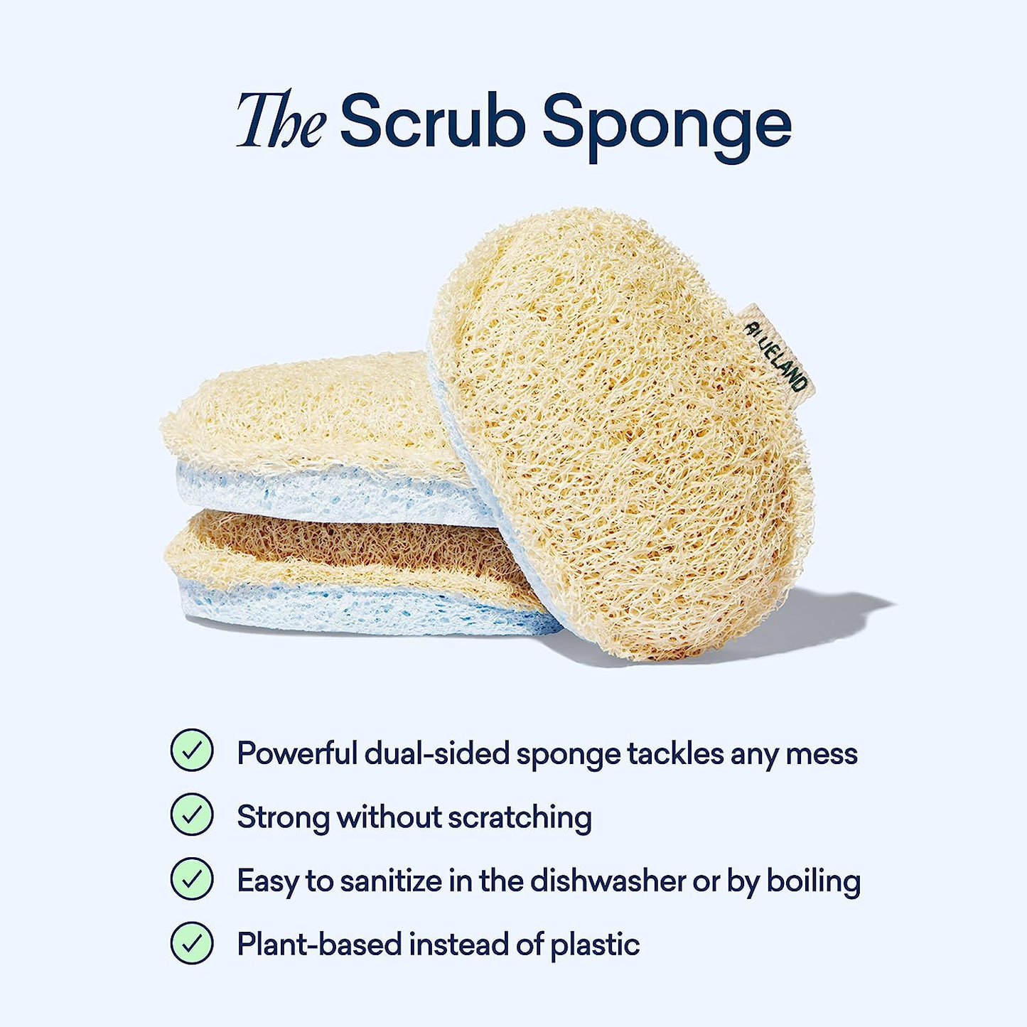 Blueland Scrub Sponge Bundle of 3
