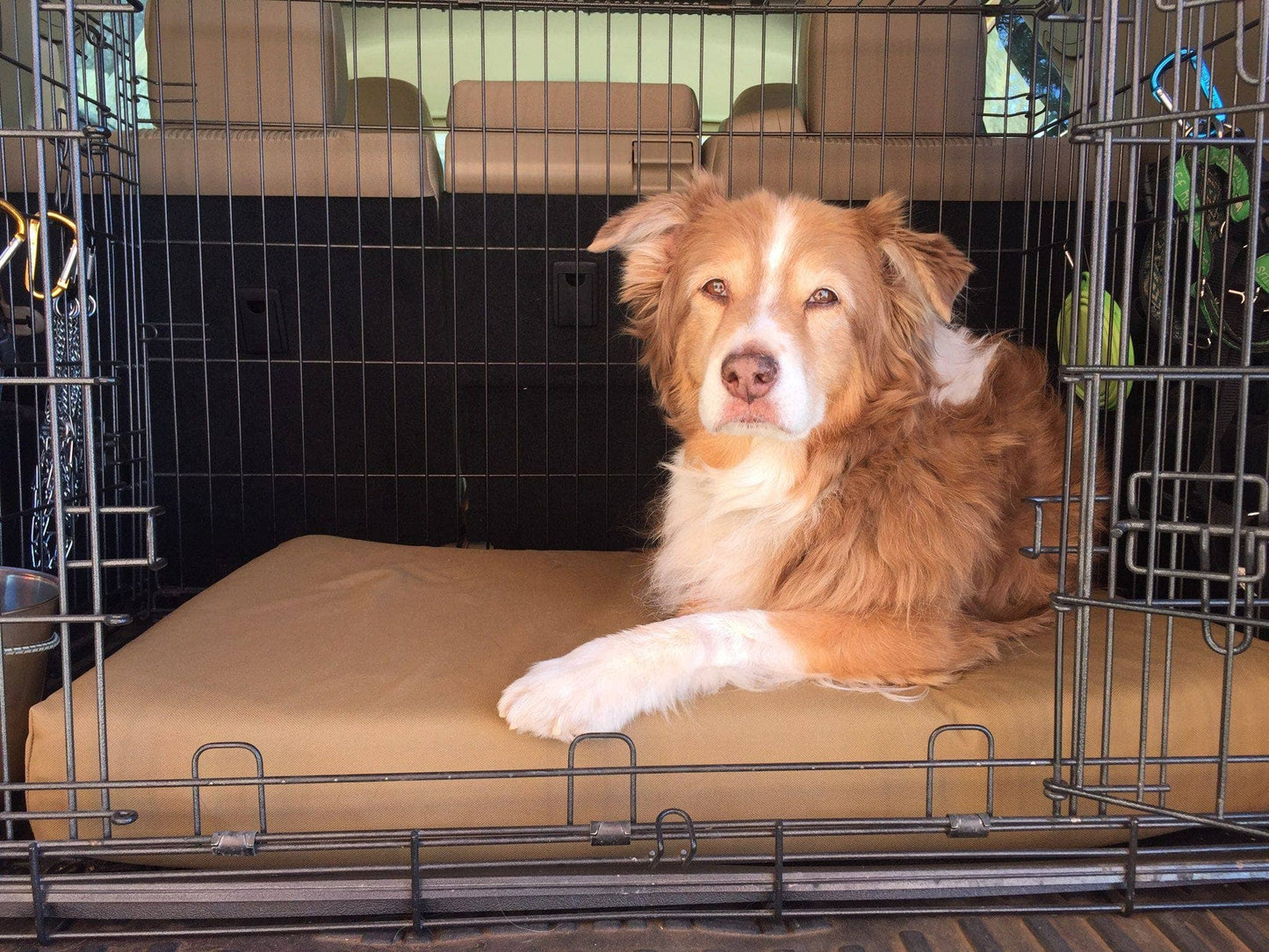 Big Barker - Big Barker 4" Orthopedic Crate Bed - Large / Cordura