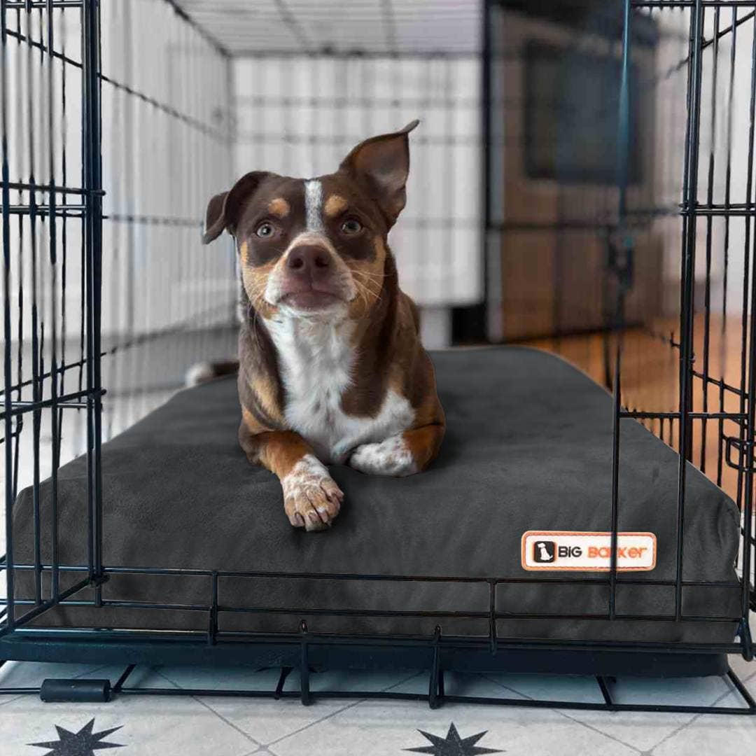 Big Barker - Big Barker 4" Orthopedic Crate Bed - Large / Cordura