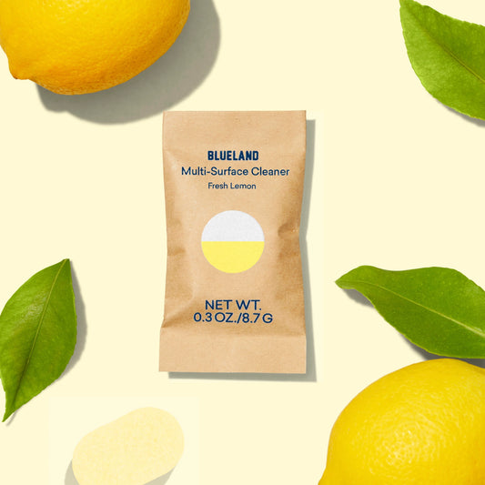 Blueland Multi-Surface Refill Packs, Fresh Lemon