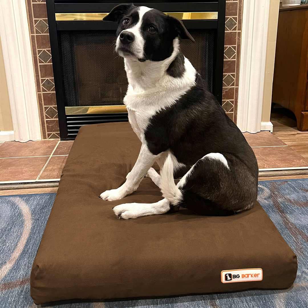 Big Barker - Big Barker 4" Orthopedic Crate Bed - Large / Cordura