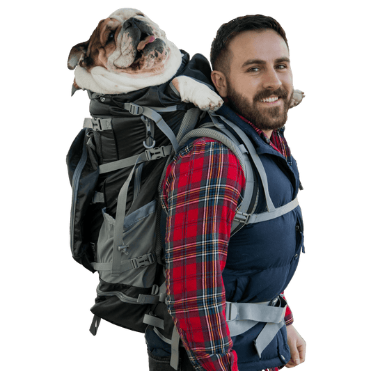 K9 Sport Sack - KOLOSSUS | Big Dog Carrier & Backpacking Pack - Large (20"-23" from collar to tail) / Black